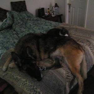 Meet your Posher, Heidi